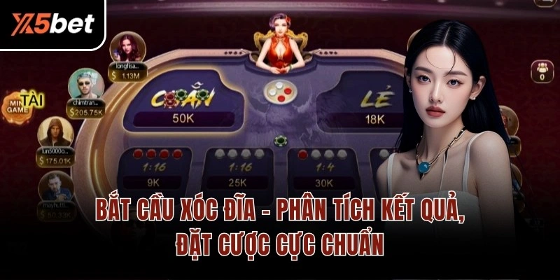 Bắt Cầu Xóc Đĩa – Phân Tích Kết Quả, Đặt Cược Cực Chuẩn