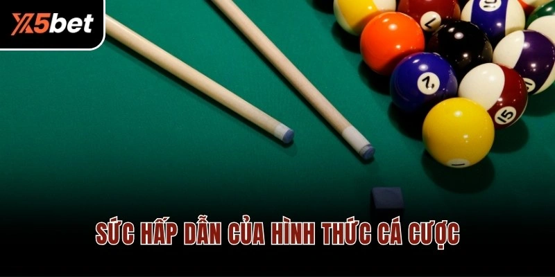 Sức hấp dẫn của hình thức cá cược
