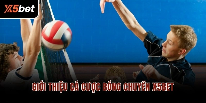Giới thiệu cá cược bóng chuyền X5BET