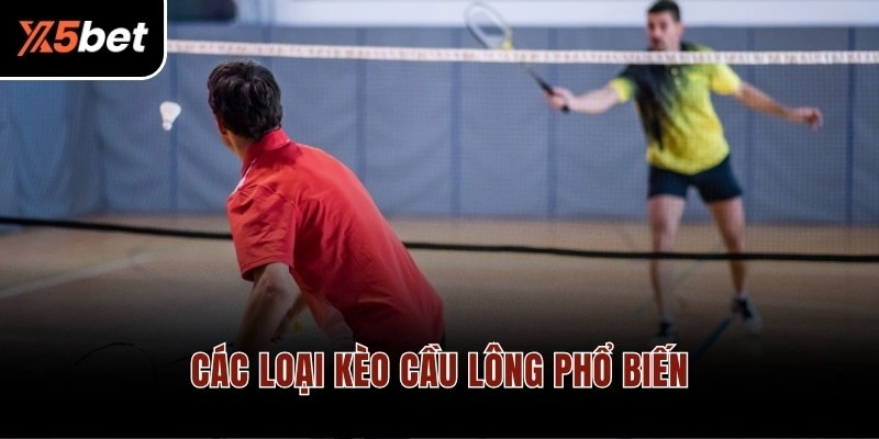 Các loại kèo cầu lông phổ biến