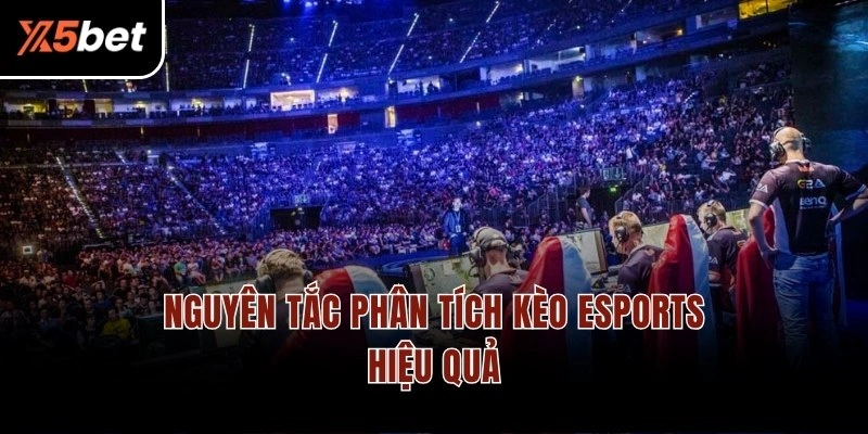 Nguyên tắc phân tích kèo eSports hiệu quả