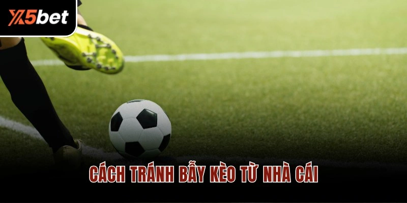 Cách tránh bẫy kèo từ nhà cái