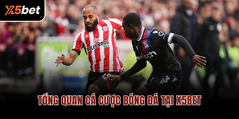 Tổng quan cá cược bóng đá tại X5BET